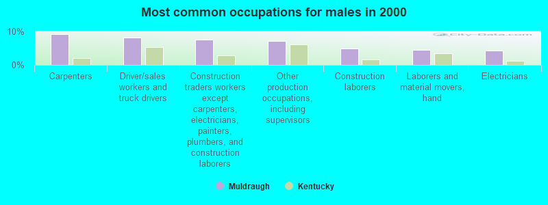 Most common occupations for males in 2000