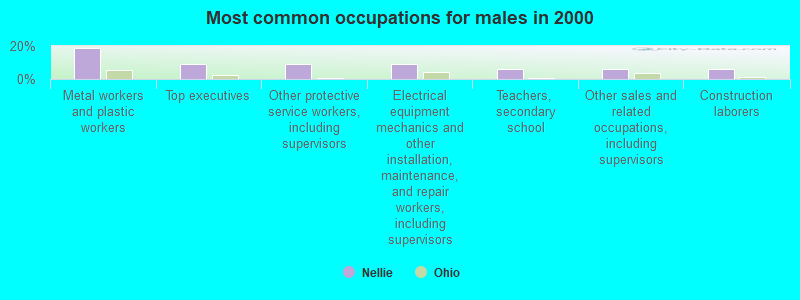 Most common occupations for males in 2000