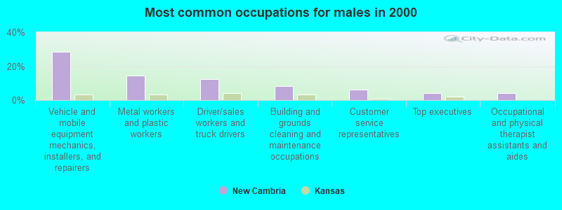 Most common occupations for males in 2000