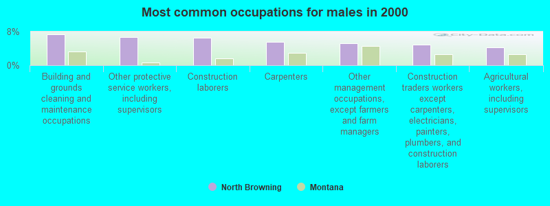 Most common occupations for males in 2000