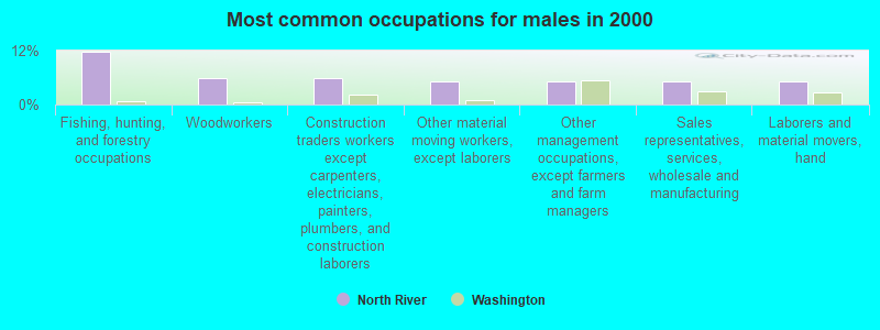 Most common occupations for males in 2000