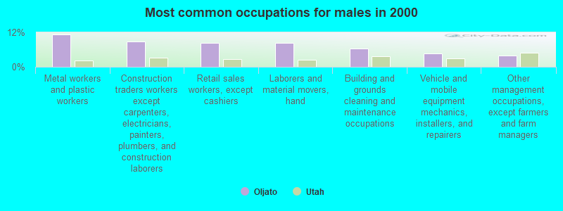 Most common occupations for males in 2000