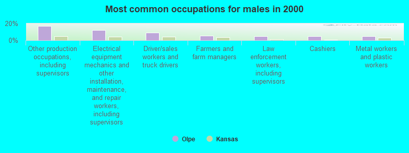 Most common occupations for males in 2000