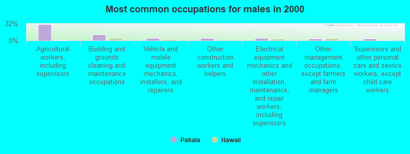 Most common occupations for males in 2000