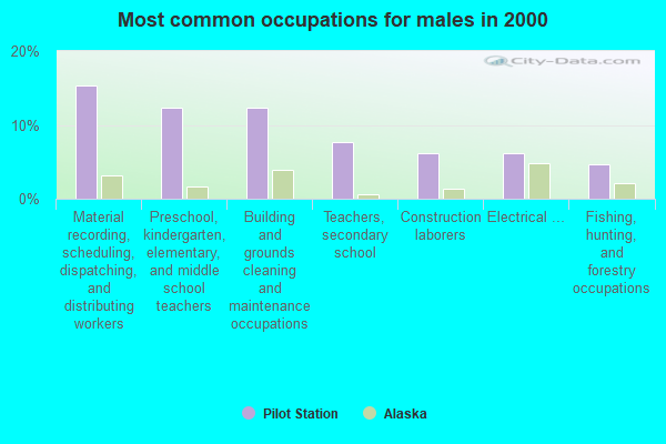 Pilot Station, Alaska (AK 99650) profile population, maps, real estate