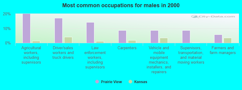 Most common occupations for males in 2000