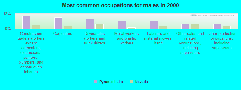 Most common occupations for males in 2000