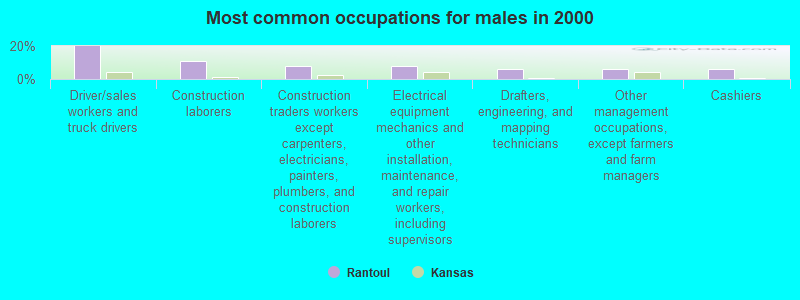 Most common occupations for males in 2000