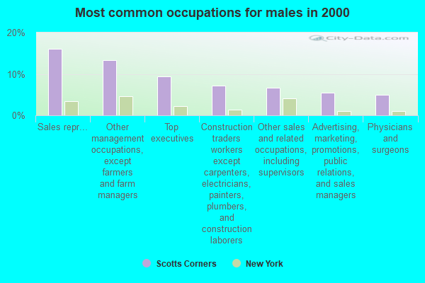 Scotts Corners, New York (NY 10576) profile population, maps, real