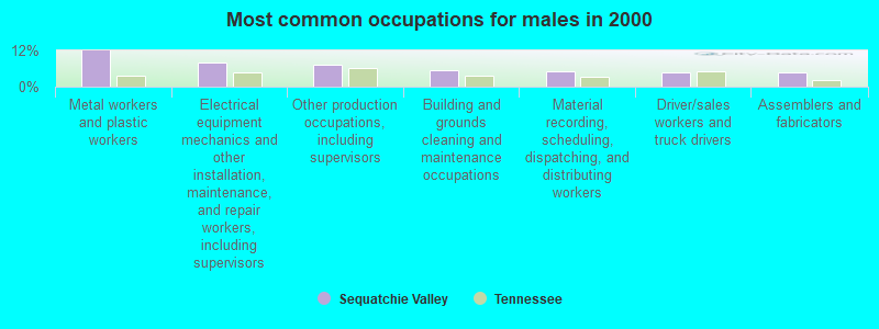 Most common occupations for males in 2000