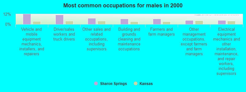 Most common occupations for males in 2000