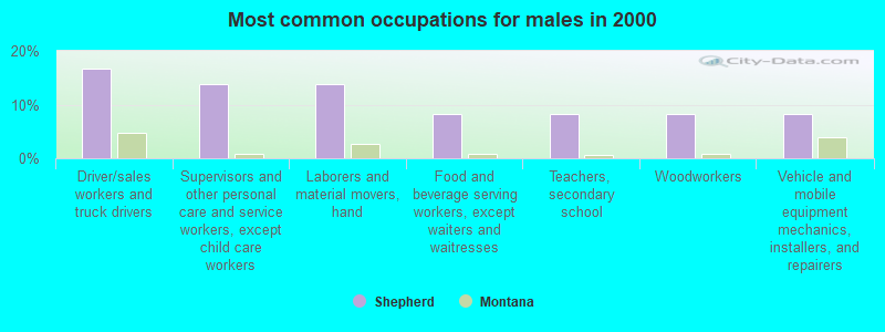 Most common occupations for males in 2000