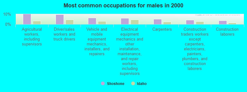 Most common occupations for males in 2000