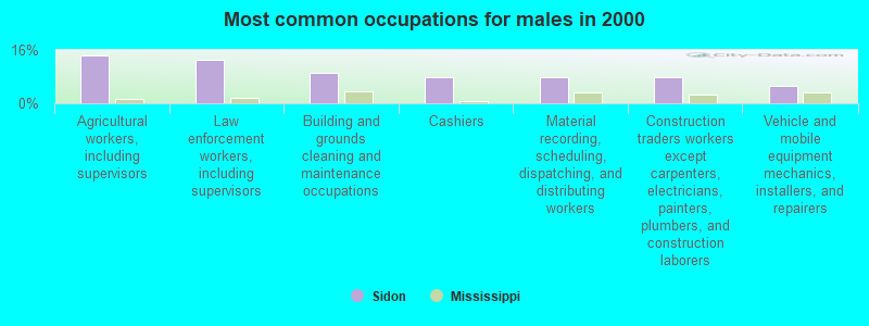 Most common occupations for males in 2000