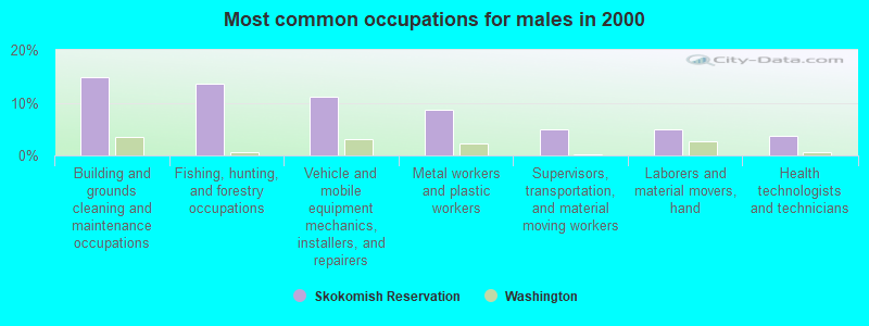 Most common occupations for males in 2000