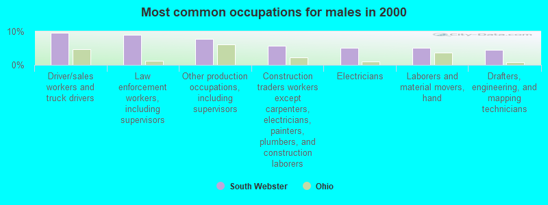 webster texas demographics