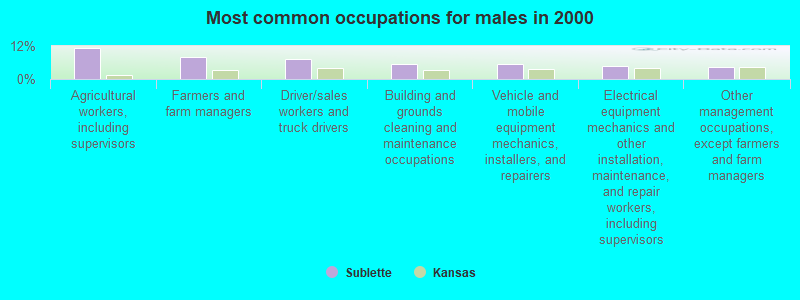 Most common occupations for males in 2000