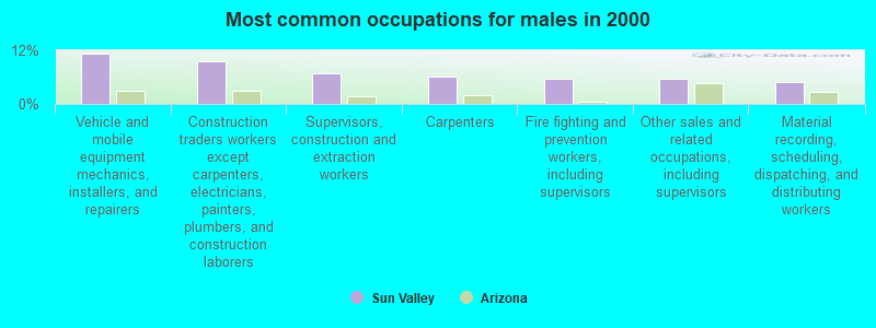 Most common occupations for males in 2000