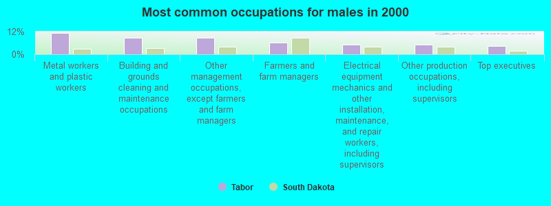 Most common occupations for males in 2000