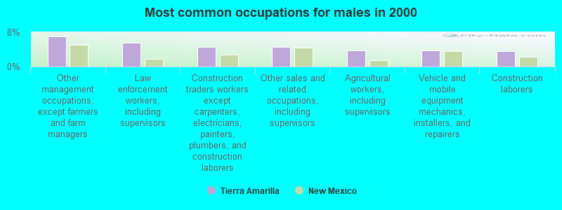 Most common occupations for males in 2000