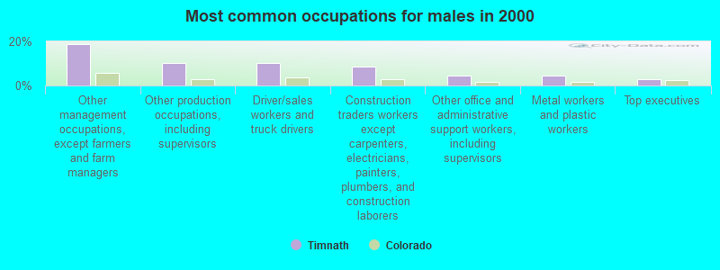 Most common occupations for males in 2000