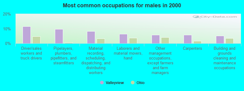 Most common occupations for males in 2000