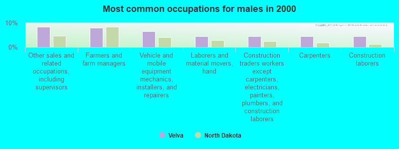 Most common occupations for males in 2000