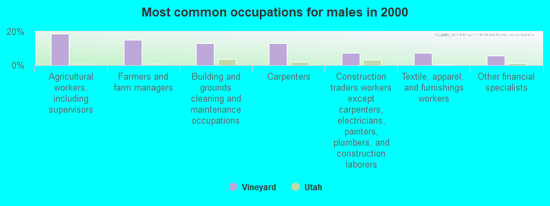 Most common occupations for males in 2000