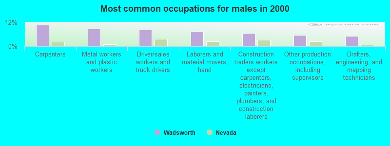 Most common occupations for males in 2000