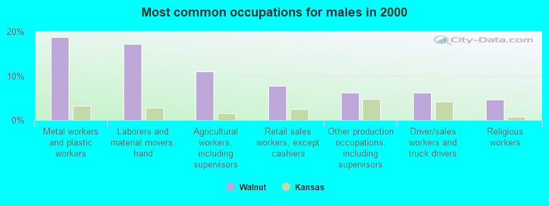 Most common occupations for males in 2000