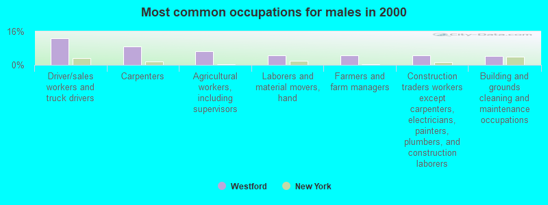 Most common occupations for males in 2000