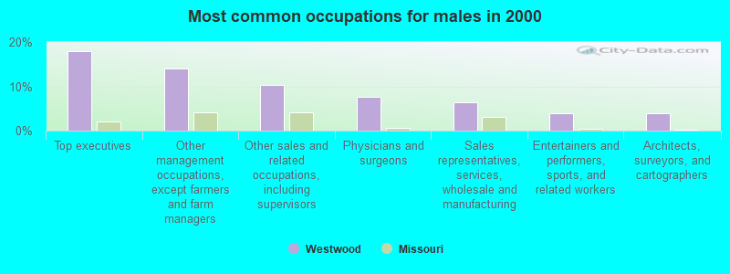 Most common occupations for males in 2000