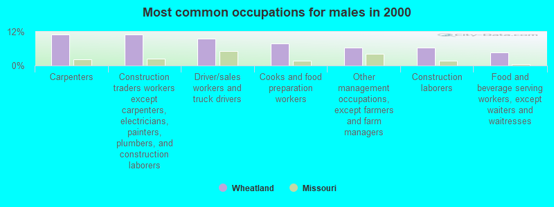 Most common occupations for males in 2000