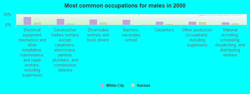 Most common occupations for males in 2000