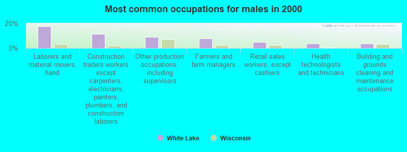 Most common occupations for males in 2000