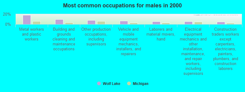 Most common occupations for males in 2000