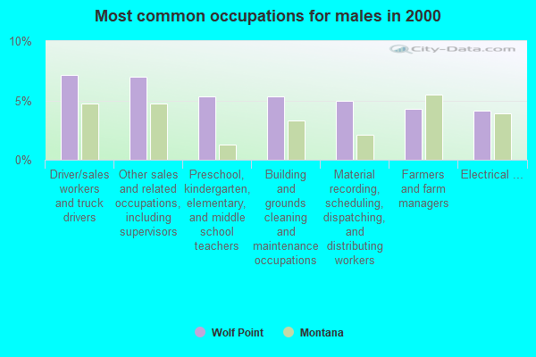 Wolf Point, Montana (MT 59201) profile: population, maps, real estate