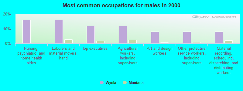 Most common occupations for males in 2000