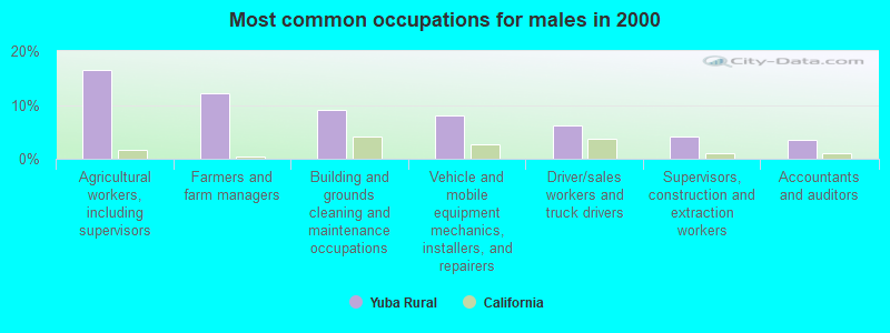 Most common occupations for males in 2000