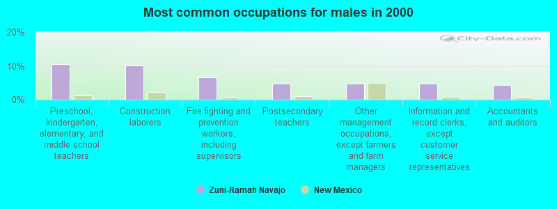 Most common occupations for males in 2000