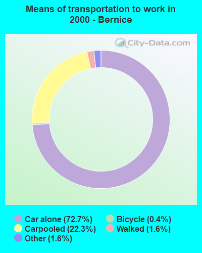 Means of transportation to work in 2000 - Bernice