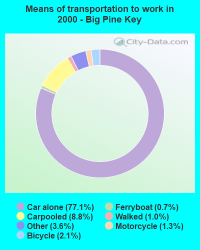 Means of transportation to work in 2000 - Big Pine Key