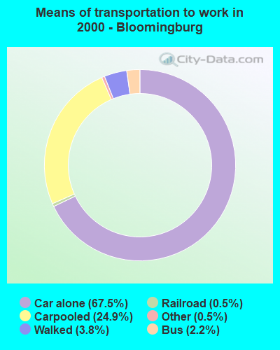 Means of transportation to work - Bloomingburg