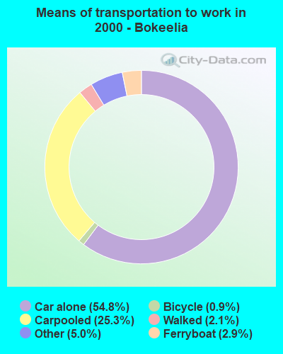 Means of transportation to work - Bokeelia
