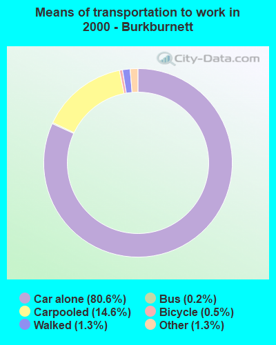 Means of transportation to work in 2000 - Burkburnett