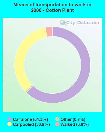 Means of transportation to work - Cotton Plant