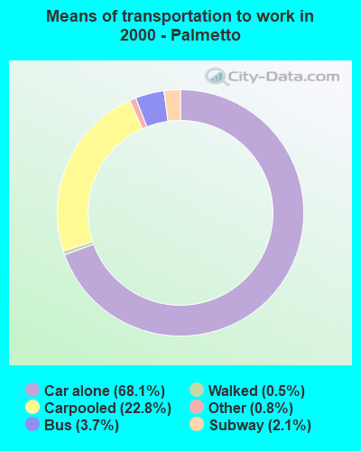 Means of transportation to work in 2000 - Palmetto