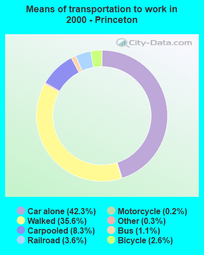 Means of transportation to work in 2000 - Princeton