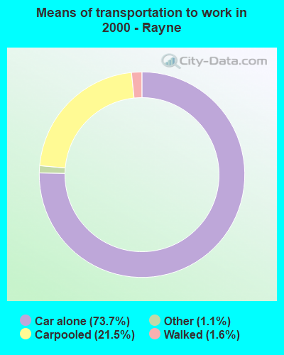 Means of transportation to work in 2000 - Rayne