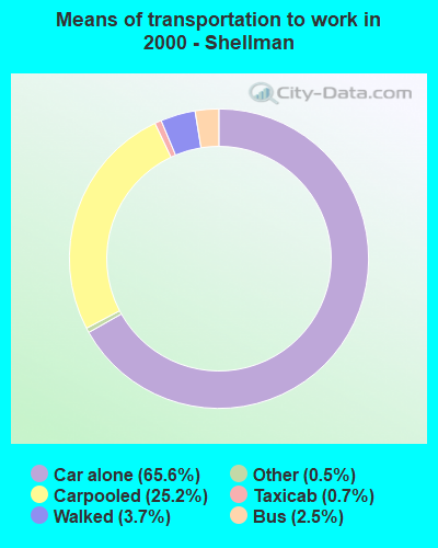 Means of transportation to work - Shellman